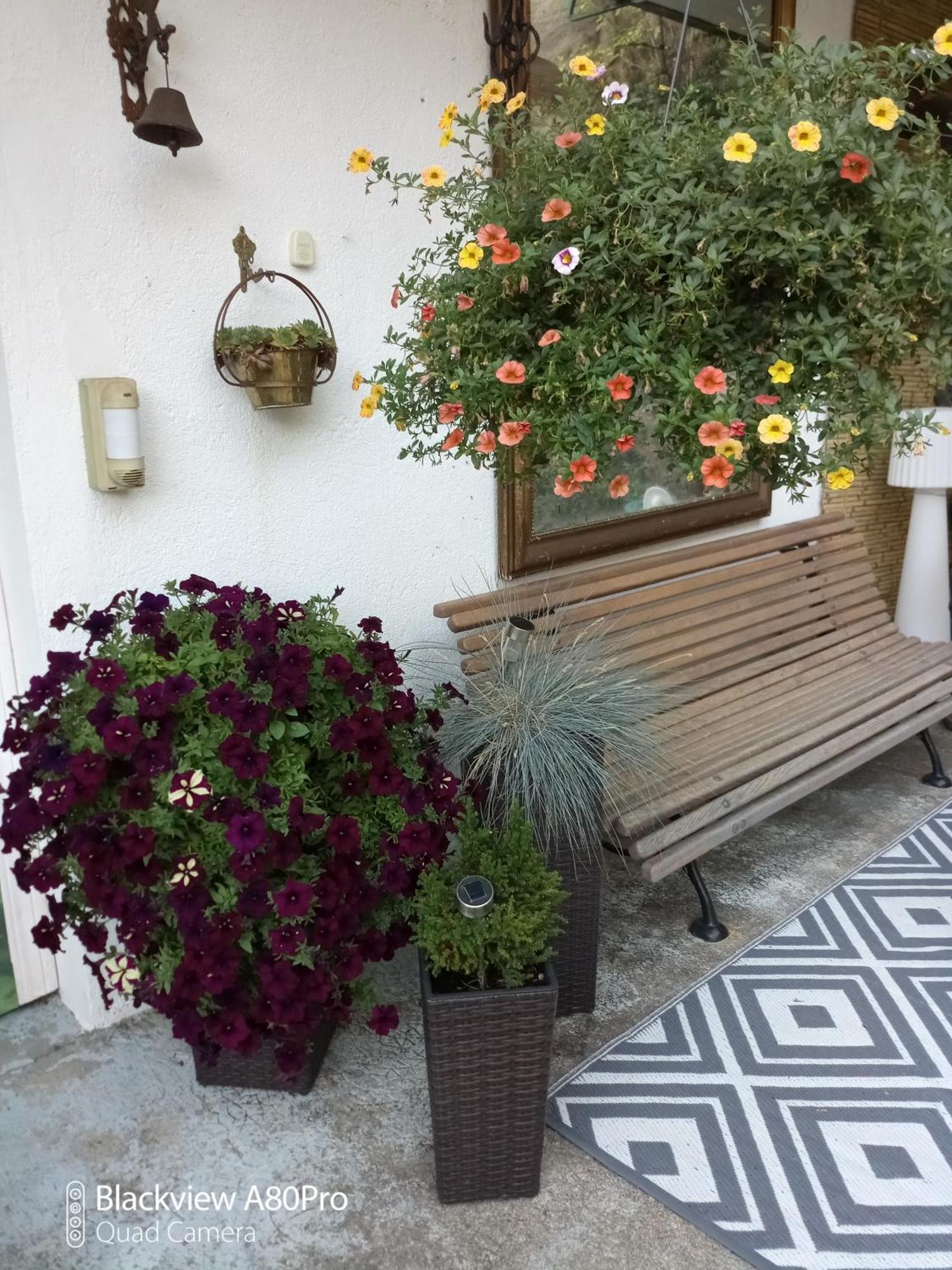 Chambre Bounty, B&B, Cuisine Privee, Lit Queen Size, Terrasse, Parking, Garage Olliergues Exteriör bild